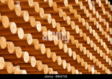 I pioli, roundwood, la pila di legno, bastoni di legno Foto Stock