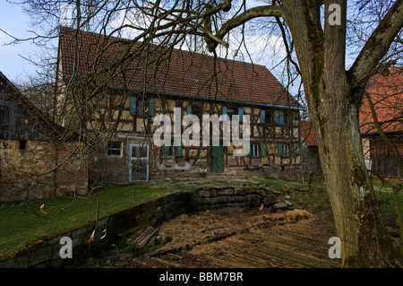 Vecchia fattoria della Franconia house, Tauchersreuth, Media Franconia, Baviera, Germania, Europa Foto Stock