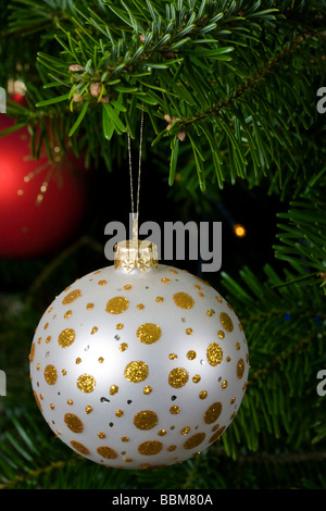 Bianco e oro pallina di vetro su albero di Natale vero ramo Foto Stock