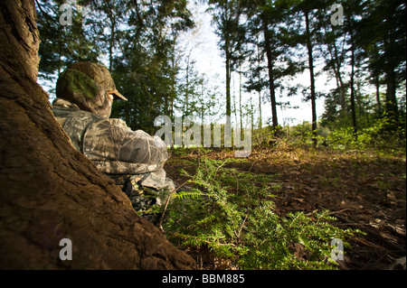 La molla la Turchia Hunter seduti nei boschi Foto Stock