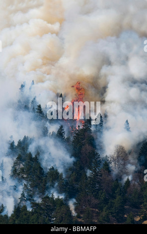 Incendio di foresta nella regione di Karwendel vicino a Innsbruck in Tirolo, Austria Foto Stock