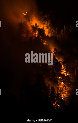 Incendio di foresta nella regione di Karwendel vicino a Innsbruck in Tirolo, Austria Foto Stock