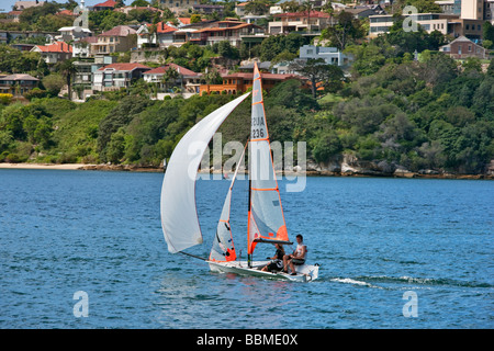 Australia Nuovo Galles del Sud. Barca a vela di Rose Bay di Sydney Harbour. Foto Stock