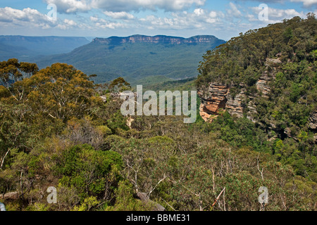 Australia, Nuovo Galles del Sud. Una vista di Jamison Valley nelle Blue Mountains dal principe Henry Cliff Walk. Foto Stock