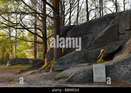 "Colpa" di pietra, blocco heath in Gmuend, Waldviertel, Austria Inferiore, Austria, Europa Foto Stock