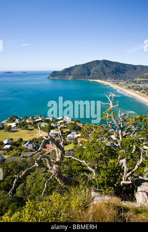 Vista da Tairua Isola del nord della Nuova Zelanda Foto Stock