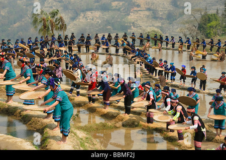 Hani Akha donne setacciatura di riso a un festival in Cina Yuanyang Foto Stock
