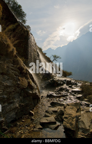 Tiger saltando gorge Yunnan in Cina Foto Stock