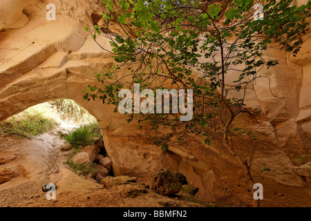 Israele Luzit cave nella regione di Shephelah Foto Stock