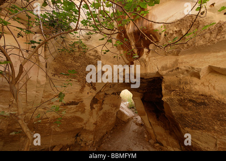 Israele Luzit cave nella regione di Shephelah Foto Stock