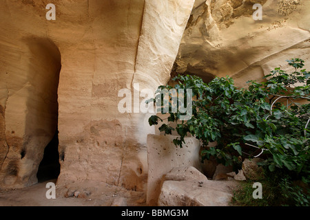 Israele Luzit cave nella regione di Shephelah Foto Stock