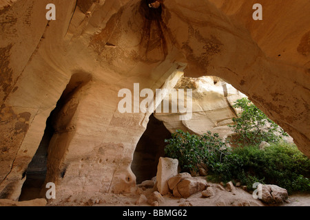 Israele Luzit cave nella regione di Shephelah Foto Stock