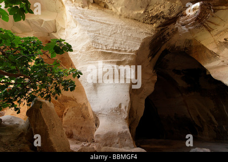 Israele Luzit cave nella regione di Shephelah Foto Stock