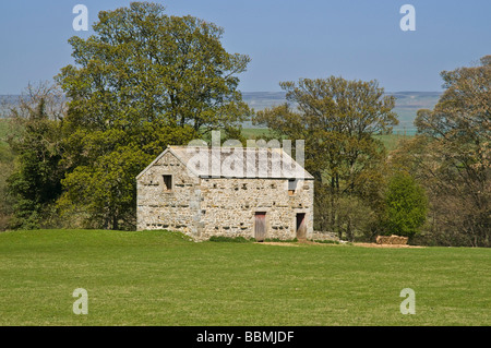 dh Yorkshire Dales National Park WENSLEYDALE NORTH YORKSHIRE Dales tradizionali pietra fattoria campo fienile agricoli fienili costruzione rurale regno unito Foto Stock