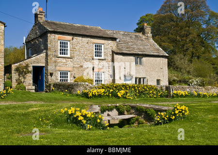 dh Yorkshire Dales National Park CASTLE BOLTON NORTH YORKSHIRE Inglese Wensleydale village daffodils casa rurale Regno Unito edificio paese Inghilterra Foto Stock