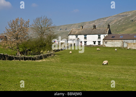 dh Yorkshire Dales National Park ARKENGARTHDALE NORTH YORKSHIRE Farmhouse and Sheep in campo uk farm british fattoria rurale primavera paesaggio agricoltura Foto Stock