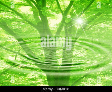 Vista di un albero con increspature (composito digitale) Foto Stock