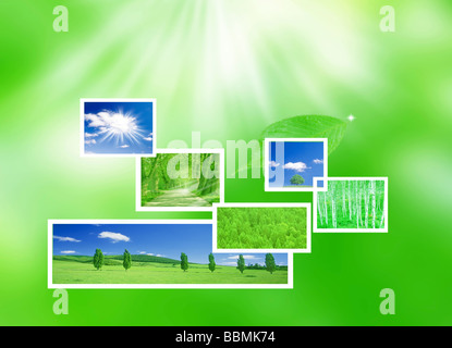 Collage di alberi Foto Stock