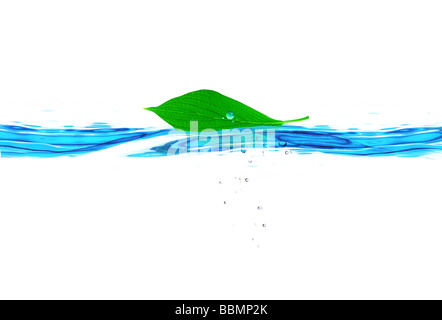 Una foglia che galleggia sulla superficie dell'acqua (composito digitale) Foto Stock