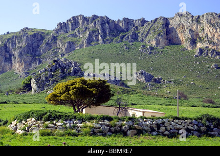 Paesaggio di montagna campi verdi fiori gialli aziende agricole agricoltura in provincia di Agrigento Sicilia Italia Foto Stock