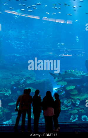 Le persone di fronte all'Acquario del centro commerciale di Dubai Foto Stock