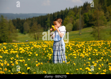 Bambino in un prato di dente di leone Foto Stock