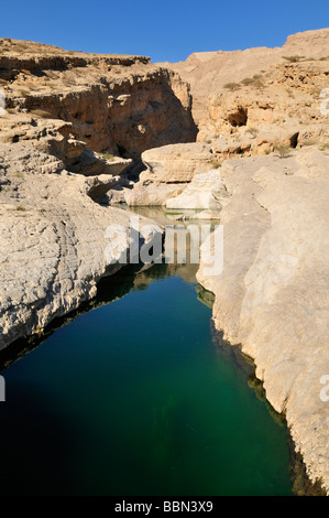 Piscina di acqua in un canyon rocciosi, Wadi Bani Khalid, Sharqiya regione, il sultanato di Oman, Arabia, Medio Oriente Foto Stock