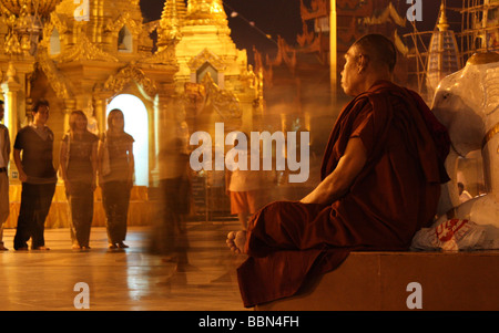 Monaco a Shwedagon Paya, Rangoon (Yangon), Birmania Foto Stock