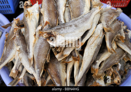 Pesci secchi in un recipiente di plastica, mercato del pesce, Vinh Long, Delta del Mekong, Vietnam Asia Foto Stock