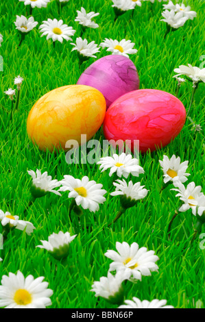 Colorate le uova di Pasqua sul prato di fiori con fiori a margherita Foto Stock