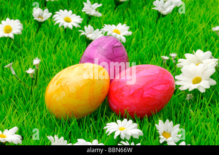 Colorate le uova di Pasqua sul prato di fiori con fiori a margherita Foto Stock