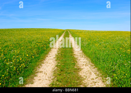 Traccia di sporco attraverso una molla prato, montagne sveve, Baden-Wuerttemberg, Germania, Europa Foto Stock