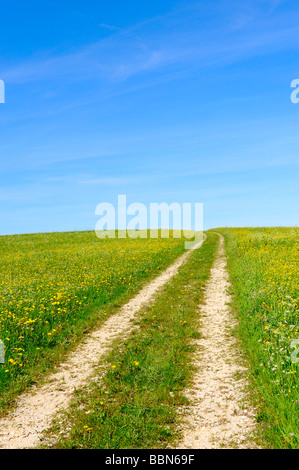 Traccia di sporco attraverso una molla prato, montagne sveve, Baden-Wuerttemberg, Germania, Europa Foto Stock