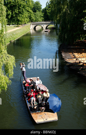 Un percorso guidato di punt gita sul fiume Cam in una zona conosciuta come i dorsi Cambridge Regno Unito Foto Stock