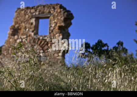 Azienda abbandonata casa in rovine vicino a Pertuis, Durance, Provence, Francia Foto Stock