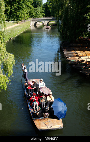 Un percorso guidato di punt gita sul fiume Cam in una zona conosciuta come i dorsi Cambridge Regno Unito Foto Stock