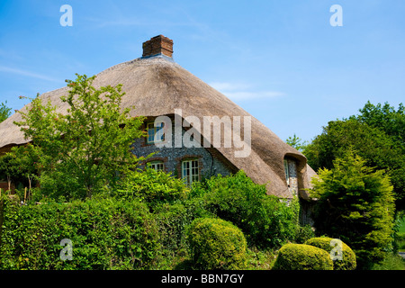 Molto piuttosto tradizionale cottage con tetto in paglia in Oriente Dean village, West Sussex, Regno Unito Foto Stock