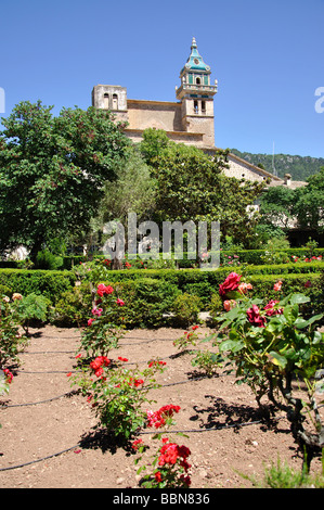 Il monastero certosino da giardini, Valldemossa, Valldemossa comune, Maiorca, isole Baleari, Spagna Foto Stock