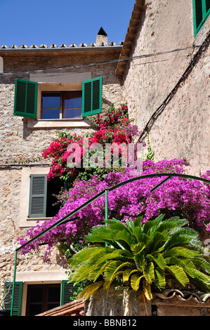 Casa di villaggio con bouganville e palme, Deia, Deia comune, Maiorca, isole Baleari, Spagna Foto Stock