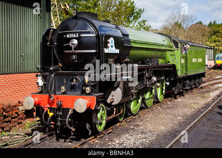 Tornado motore a vapore A1 locomotiva a vapore Peppe Trust per la classe A1 locomotiva del Pacifico a Pickering Foto Stock