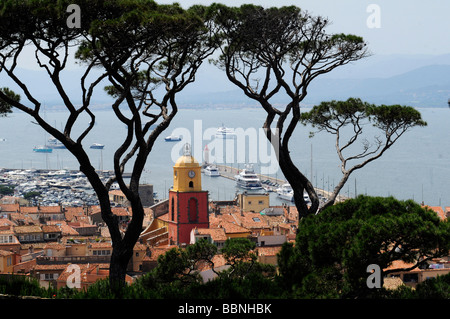 Vista della clocktower, tetti e sulla baia di Saint Tropez incorniciata da pini; in Costa Azzurra, Francia meridionale Foto Stock