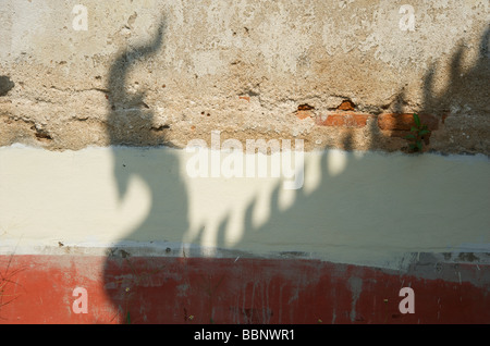 La gronda del tetto del tempio cast un intrigante dragon ombra su una parete del tempio in Lamphun nord della Thailandia Foto Stock