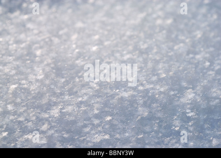 Priorità bassa della neve Foto Stock