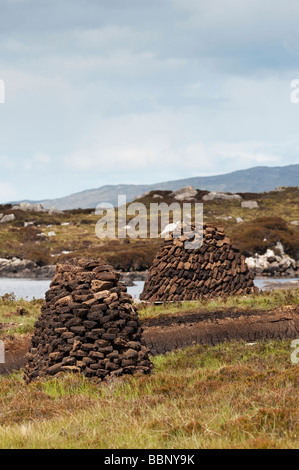 Tagliare la Peats in pile sulla brughiera, Isle of Harris, Ebridi Esterne, Scozia Foto Stock