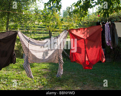 Lavaggio on line out lavanderia a secco Foto Stock