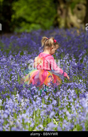 Giovane ragazza in abito da fiaba a piedi attraverso un bosco pieno di bluebells nel Cheshire, Inghilterra. Foto Stock