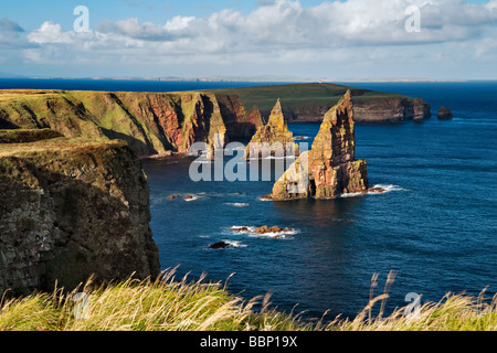 Duncansby pile, vicino Duncansby head, John O'Semole, Scozia, che mostra le imponenti scogliere e il pilastro come formazioni rocciose Foto Stock