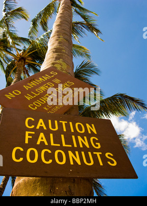 Attenzione cocchi cadenti segno a Salt Pond Beach Park a Kauai Hawaii USA Foto Stock