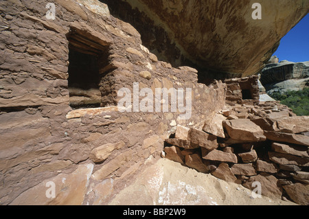 Horsecollar rovina Anasazi Sito in ponti naturali monumento nazionale USA Utah Foto Stock