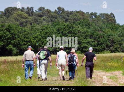 Gruppo misto di scuotipaglia sulla giornata fuori in campagna francese. Foto Stock